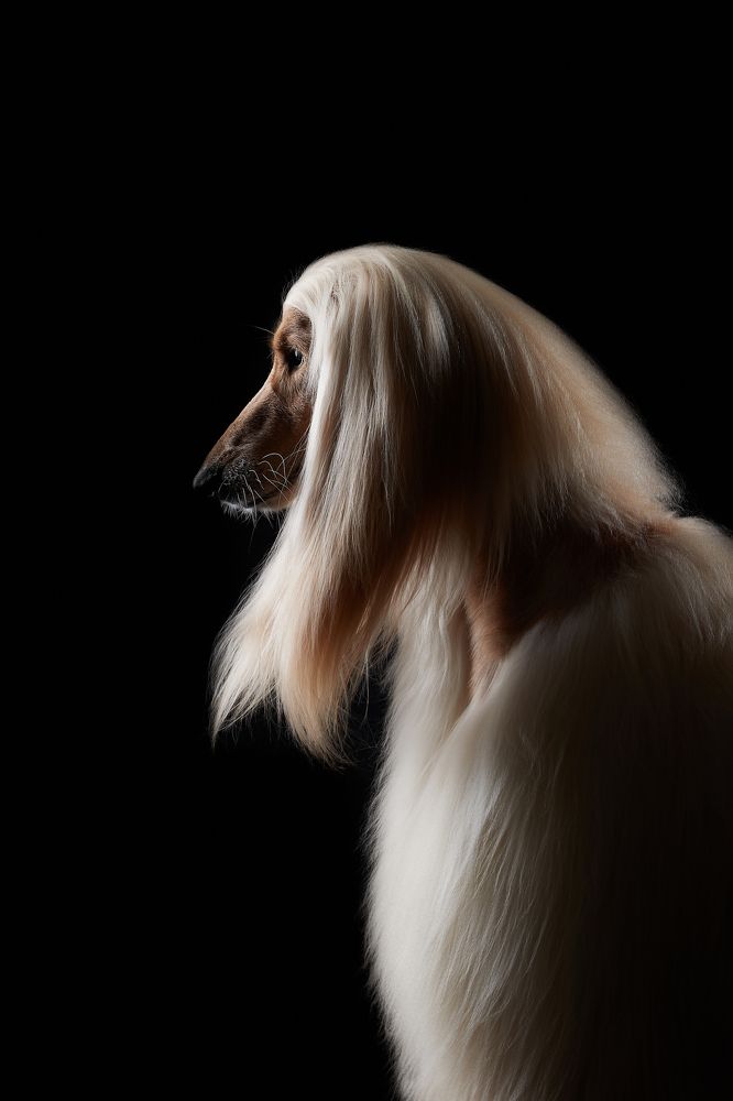 Photograph by Лана Полякова