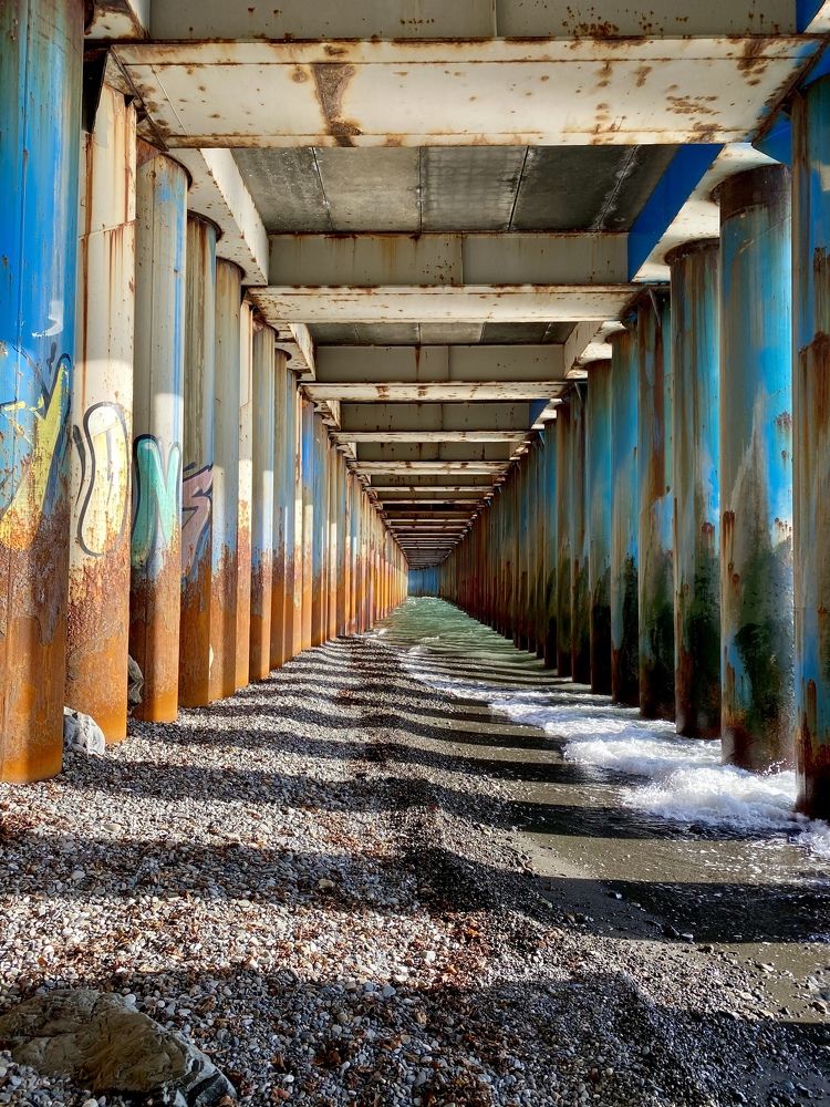 Фотография автора Александр Заикин