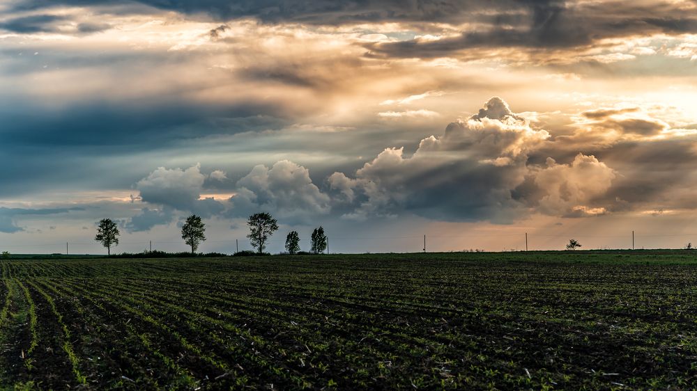 Light after the Storm