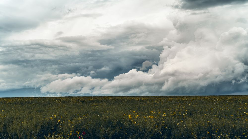 Clouds over the rapeseed