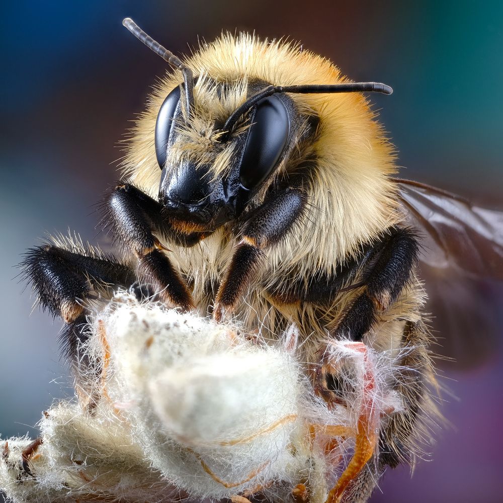 Photograph by Юрьевич Юрий