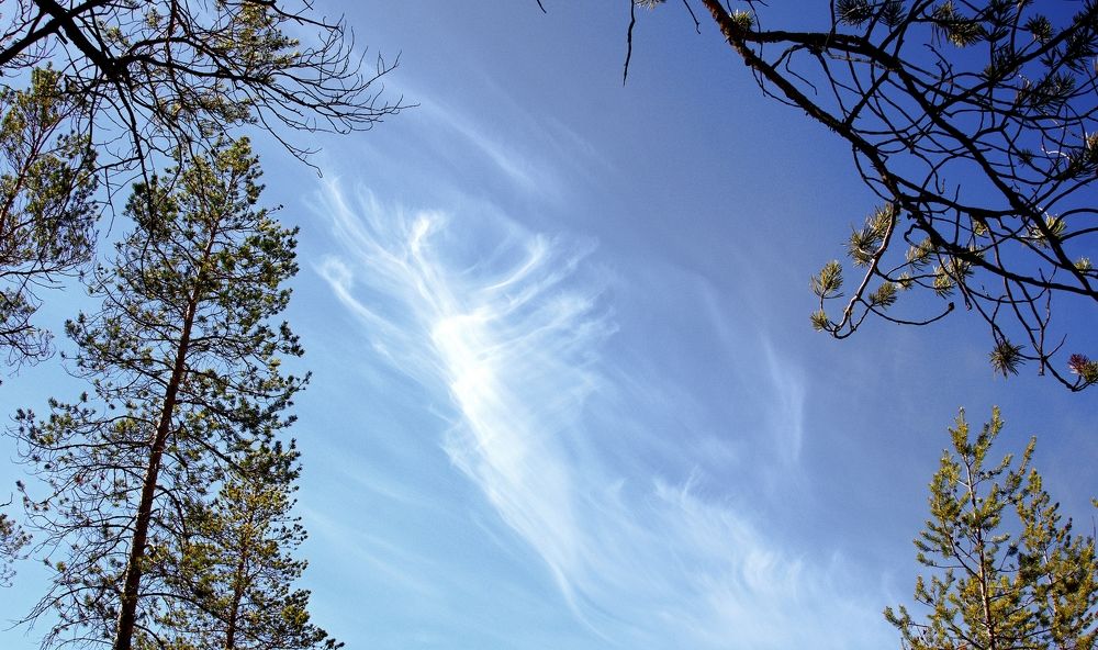 Photograph by Николай Почкалов