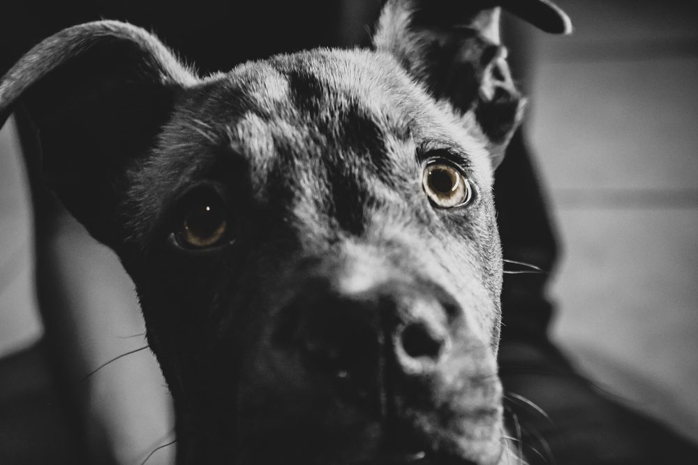 Photograph by Miguel Guzman