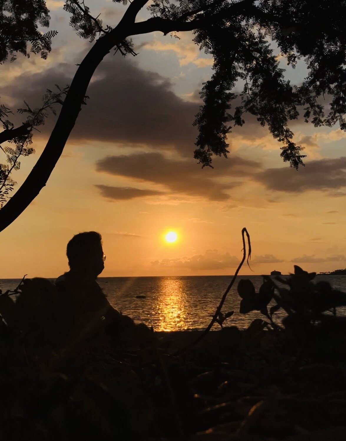 Single and Sunset