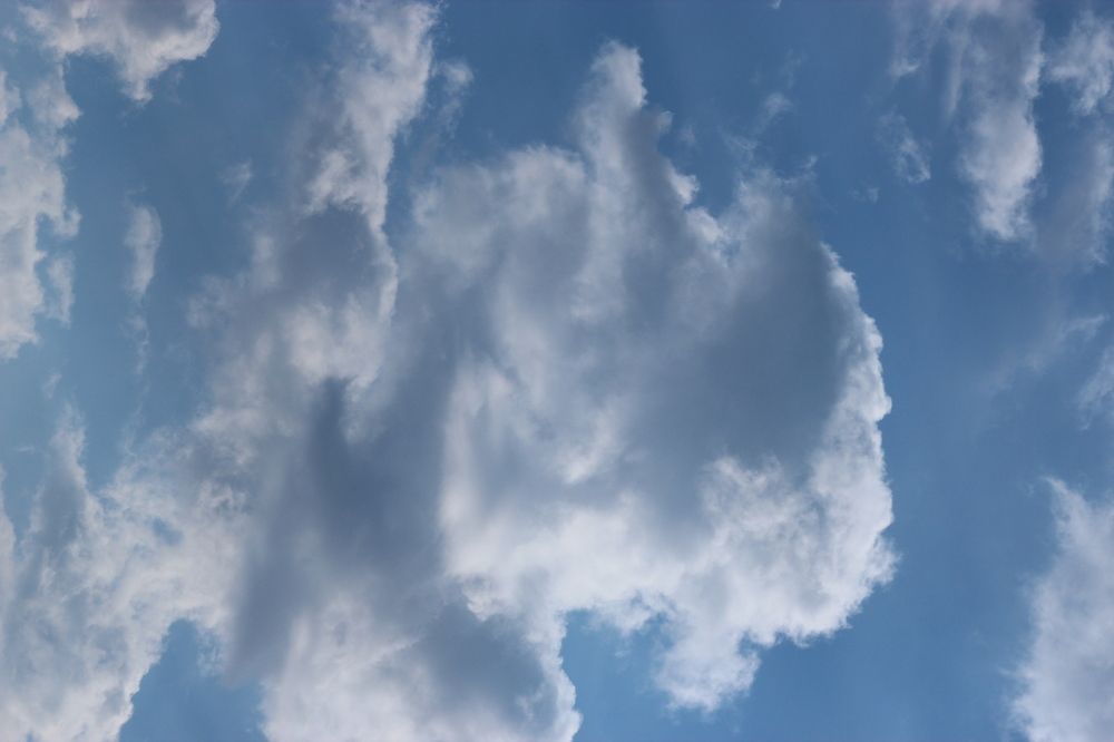 Photograph by Александр Велигура