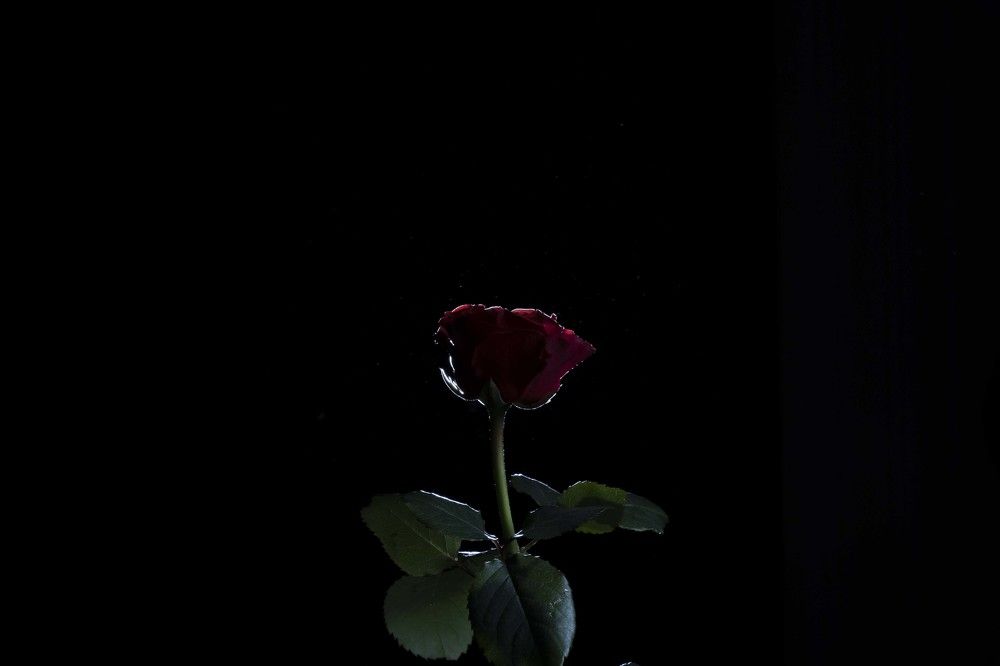 Photograph by Александр Серняк