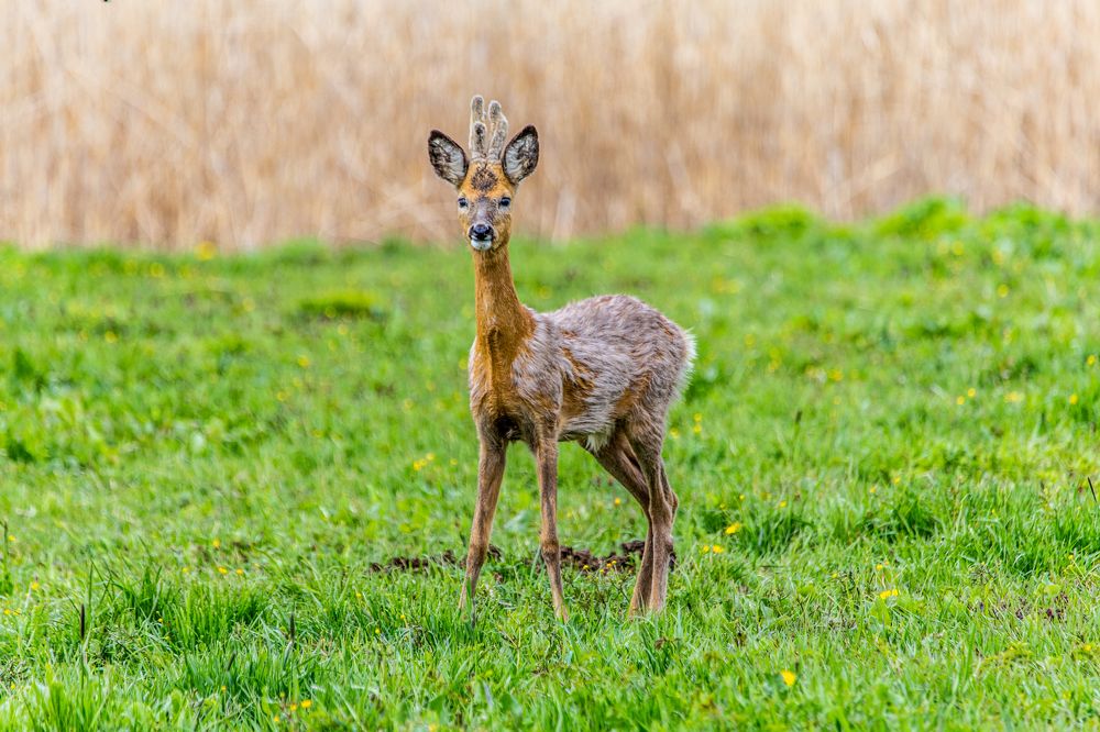 Photograph by Dzintra Zvagina