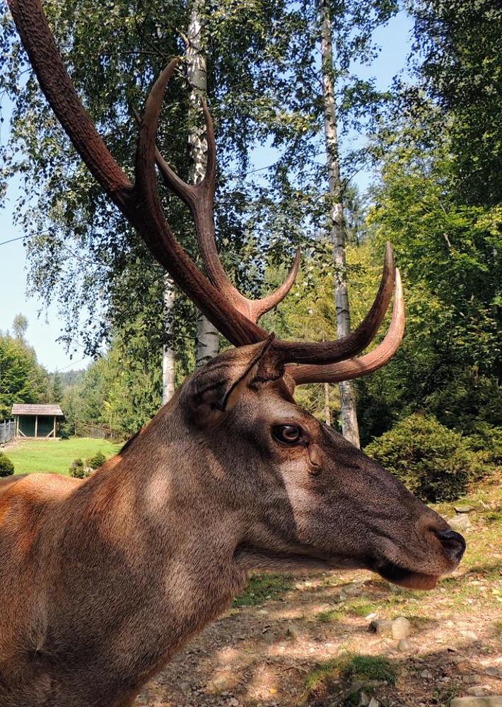 Photograph by Роман Савоцкий