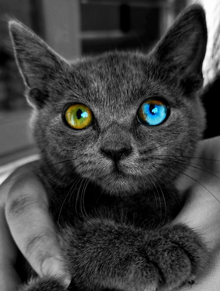 Photograph by Rizal Aditiawarman