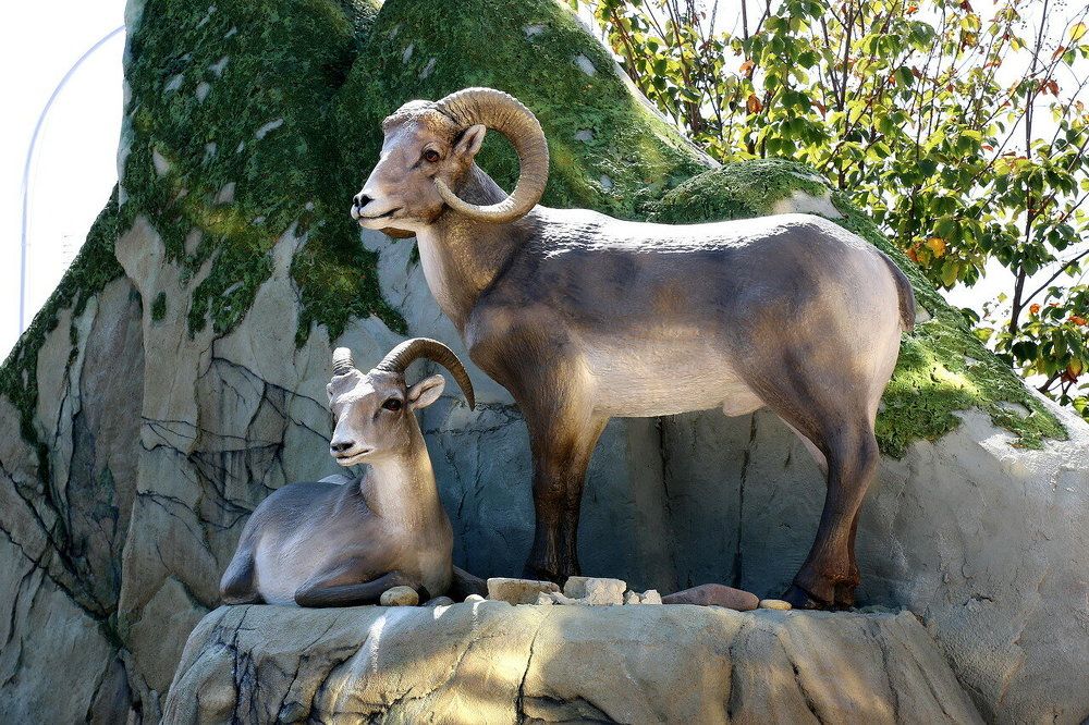 Фотография автора АЛЕКСАНДР ЦЫГЕЛЬНЮК