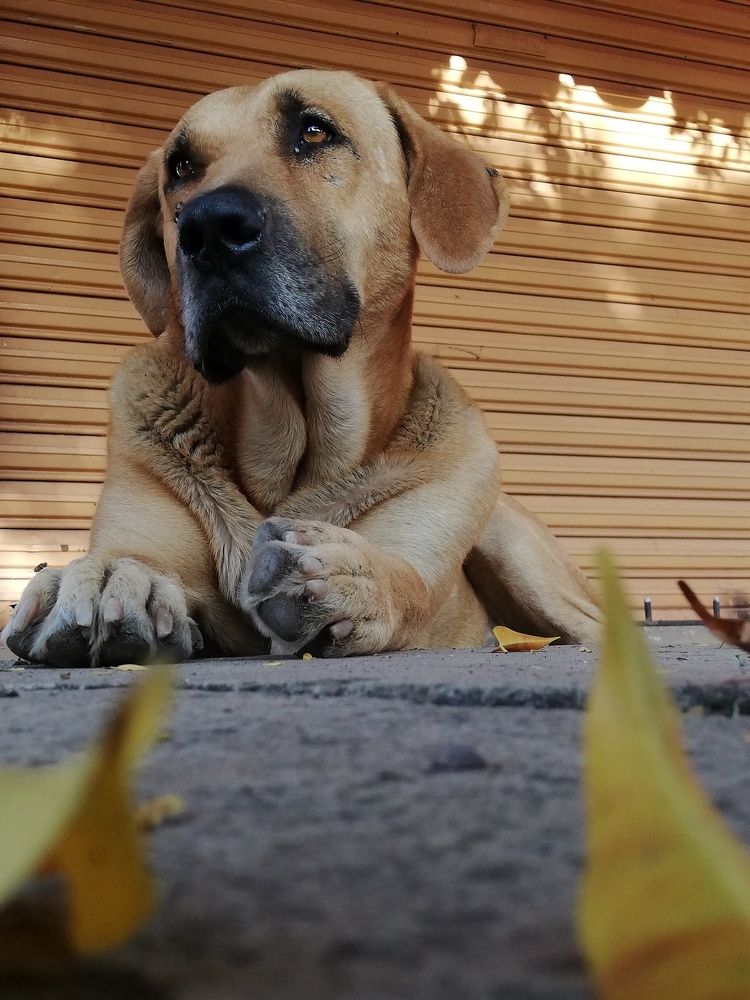 Photograph by Andrea Alcalá