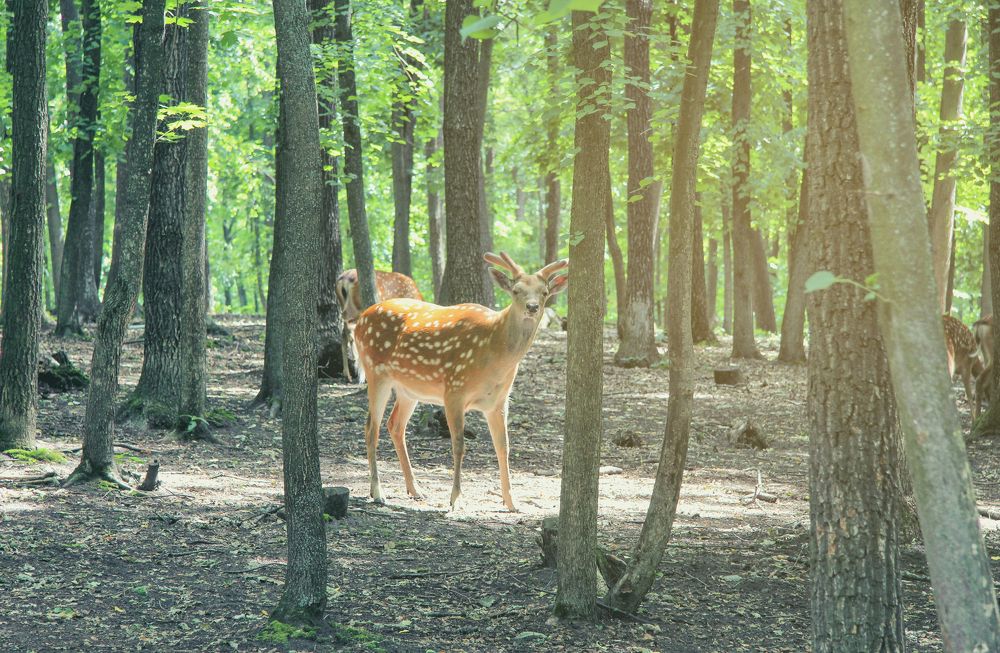 Photograph by Александр Малютин