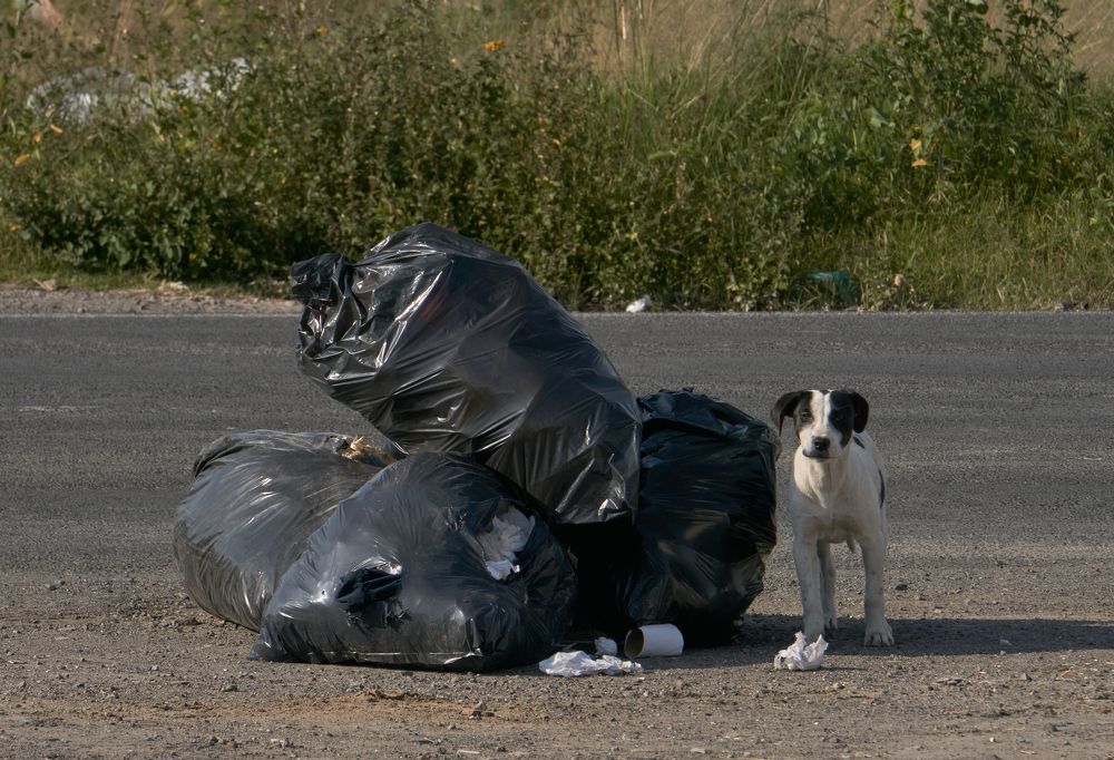 Photograph by Fernando izaguirre