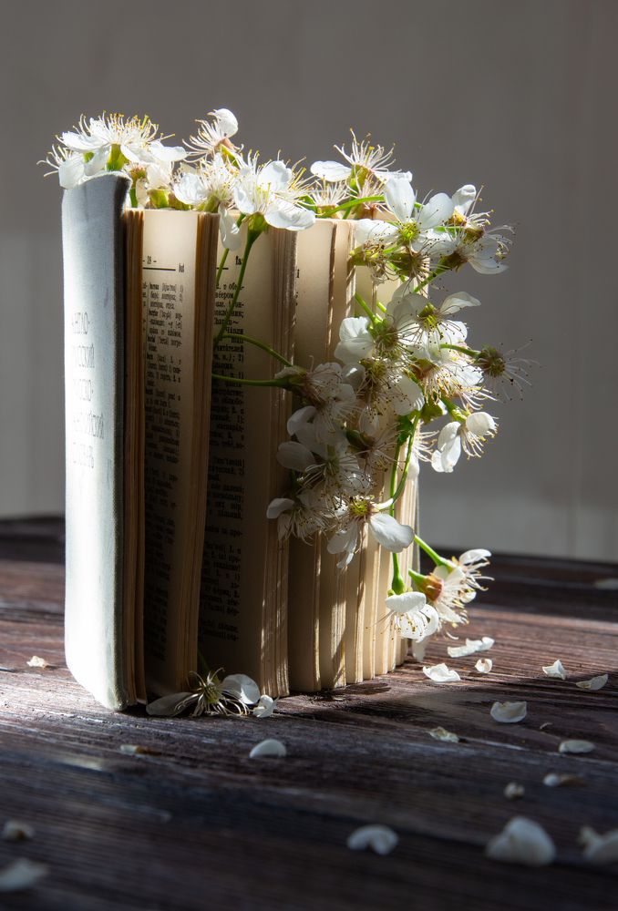 Photograph by Ирина Степанова