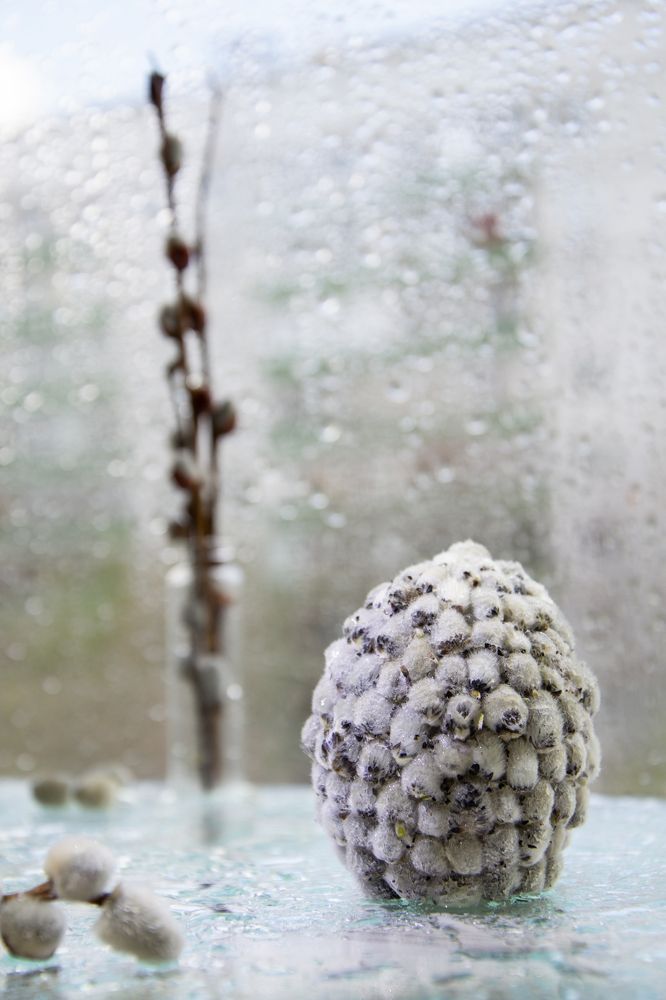 Photograph by Ирина Степанова