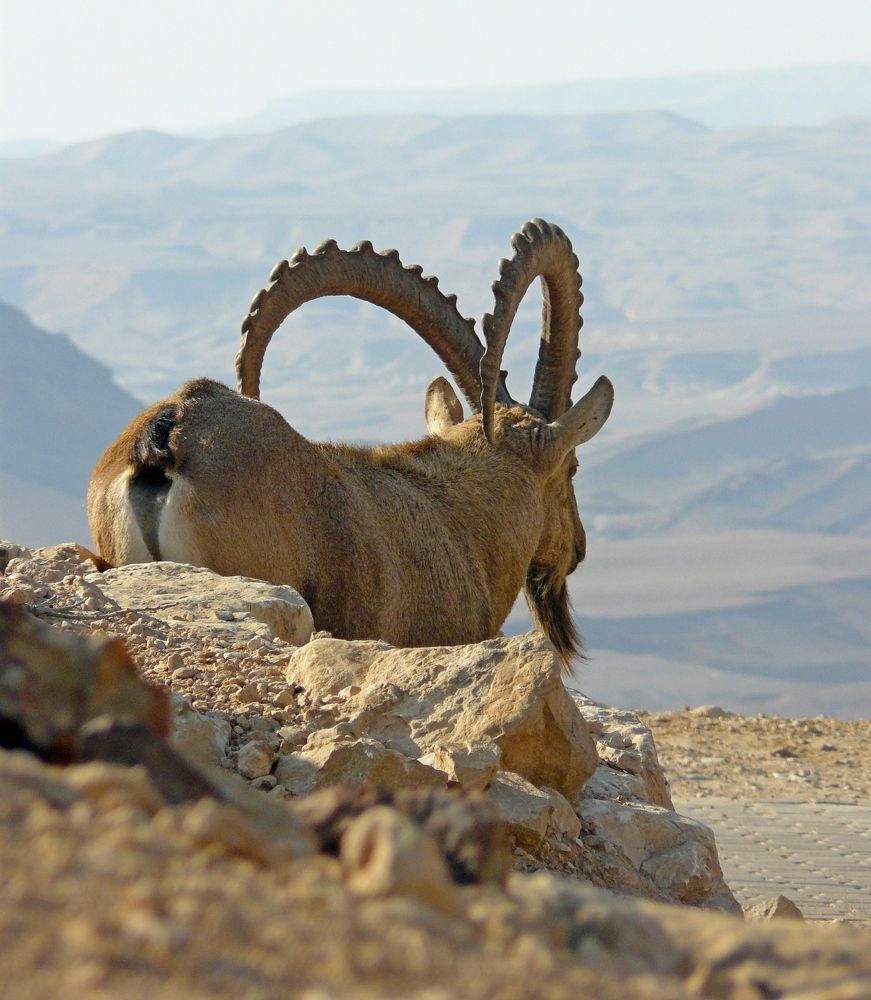 Photograph by леонид натапов