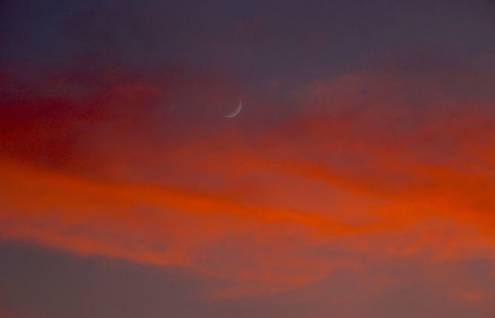 Photograph by Александр Шаварёв