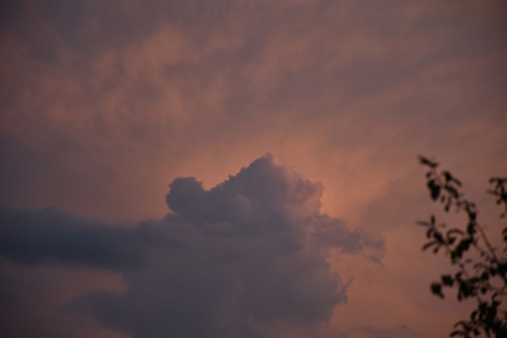 Летний вечер.