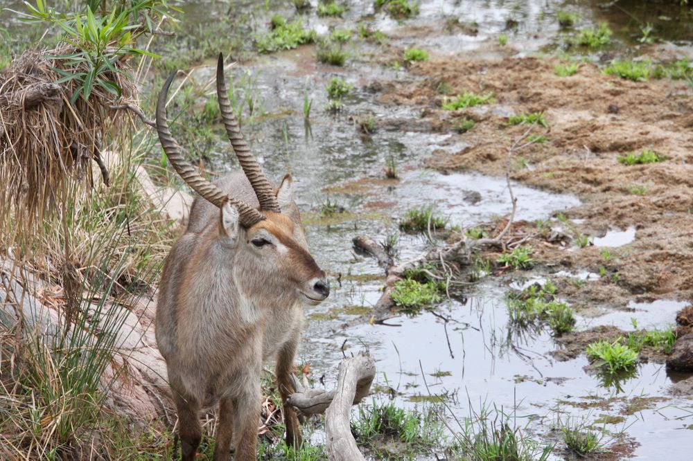 Photograph by Наталья Пирогова