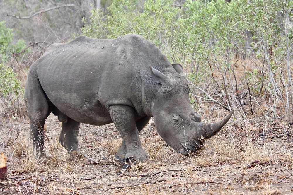 Photograph by Наталья Пирогова