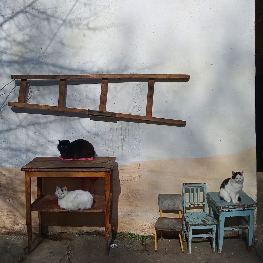 Photograph by Виктория Клышникова