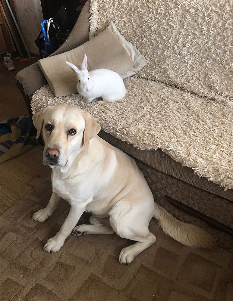 Photograph by Анастасия Комкова