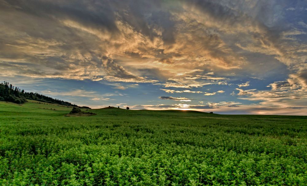 Photograph by Magdalena Kolenicova