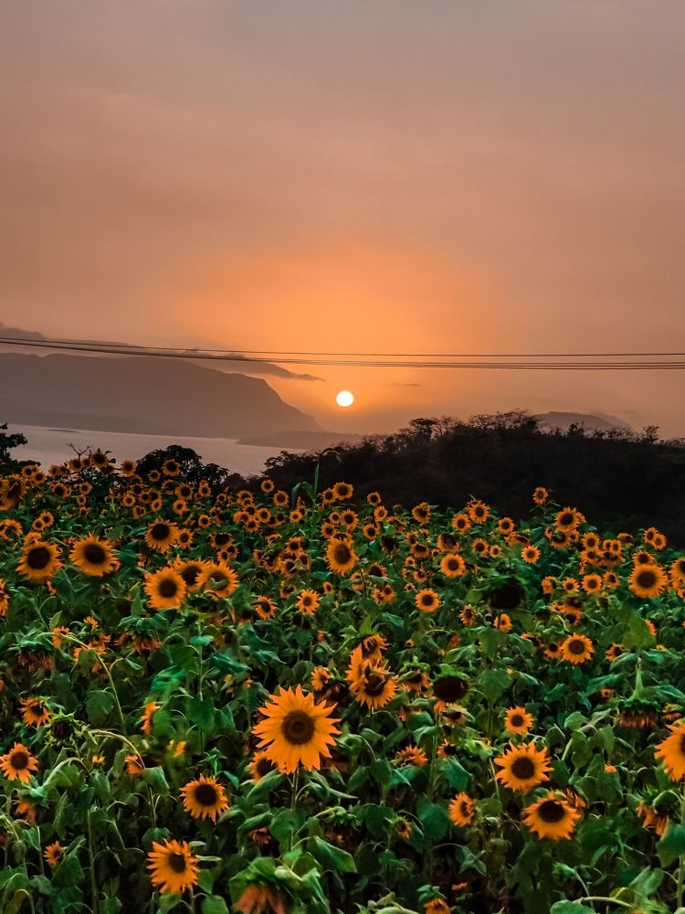 Sunset from Farm