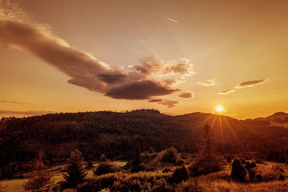 Photograph by Magdalena Kolenicova