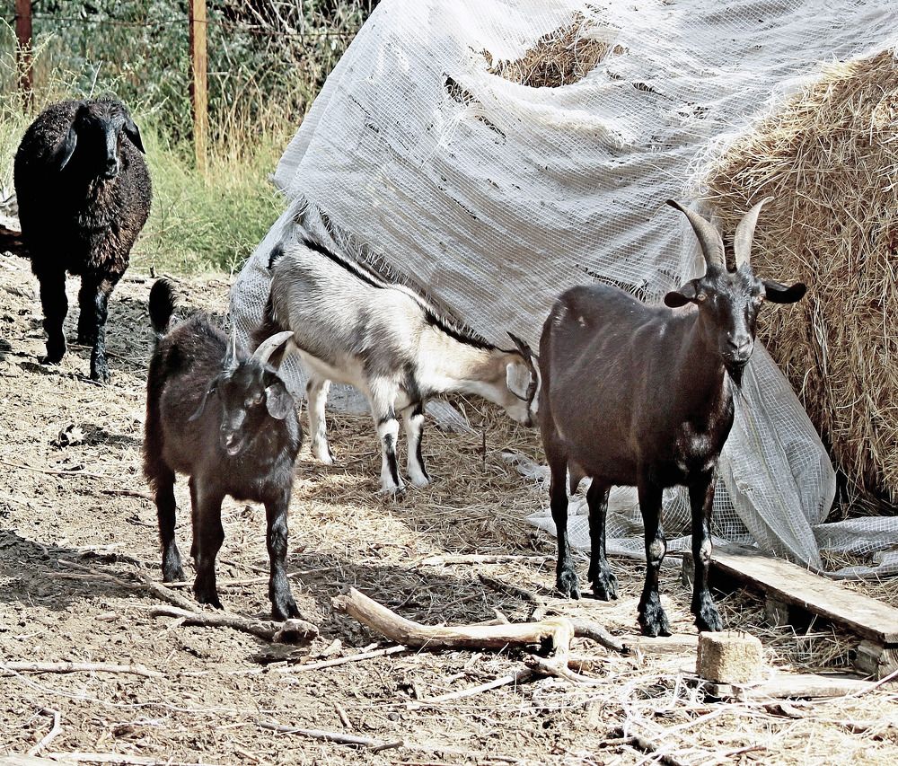 Photograph by Александр Бугаенко