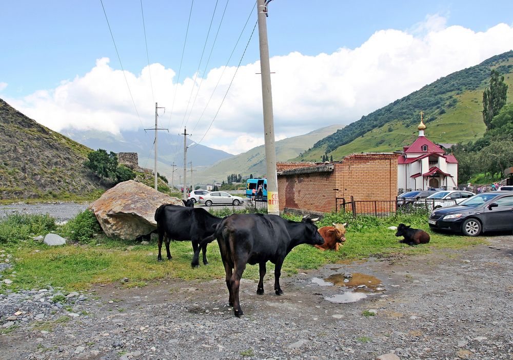 Photograph by Александр Бугаенко