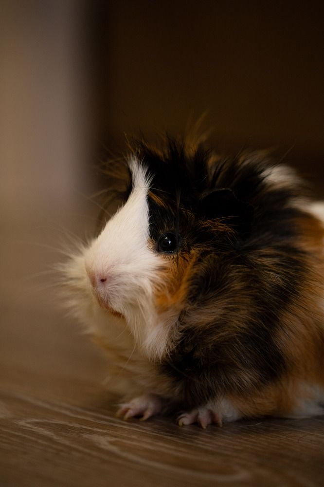 Photograph by Екатерина Аксёнова