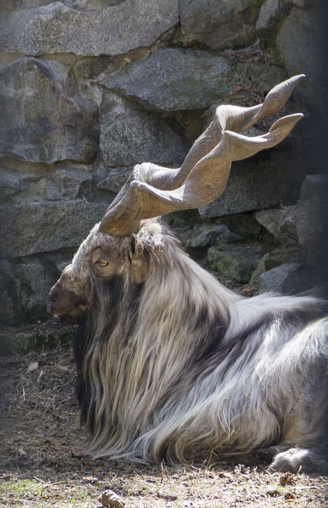 Photograph by Anna Gapanovich