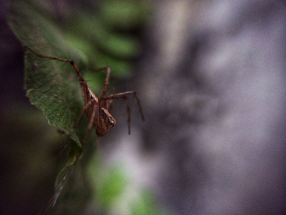 Photograph by Sardar Vaibhavraj Ramkar