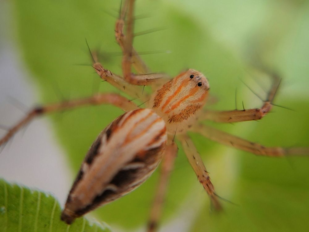 Photograph by Sardar Vaibhavraj Ramkar