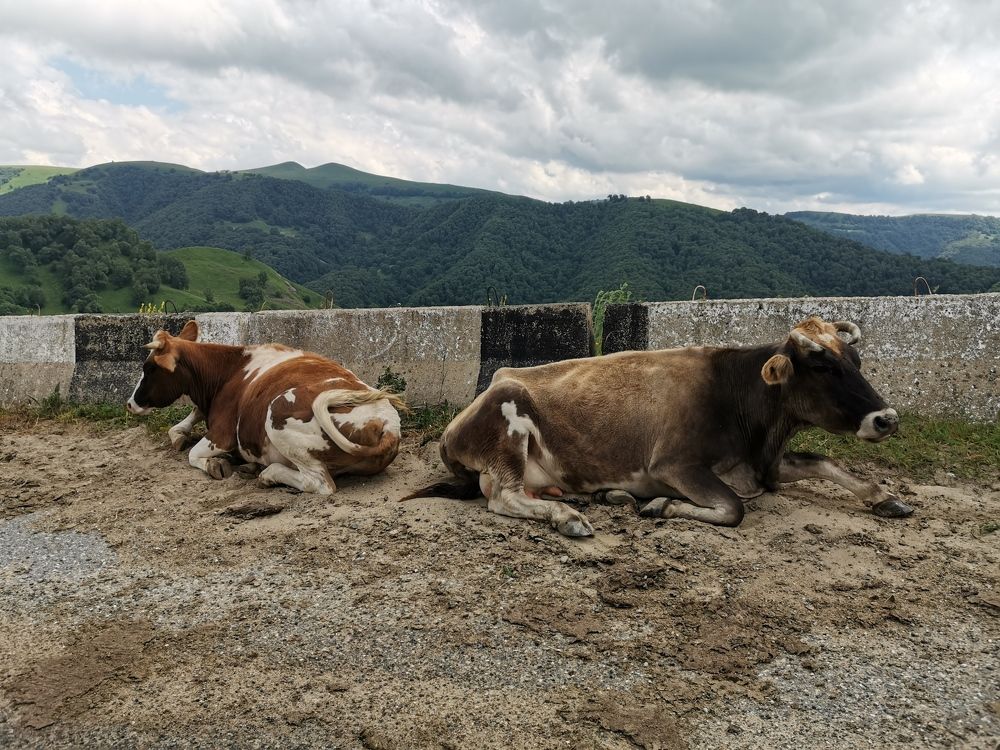 Photograph by Елена Акимова