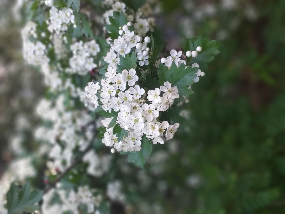 Photograph by Наталья Гордиенко