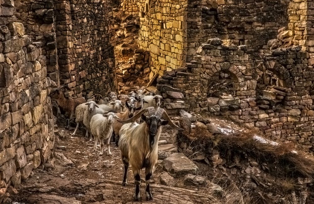 Photograph by Marat Magov