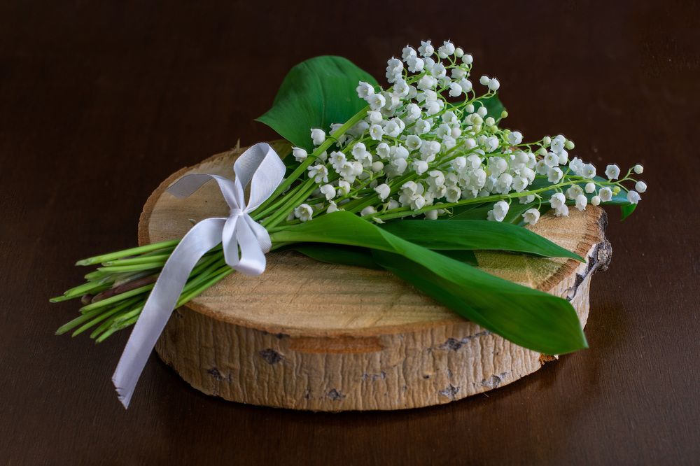 Букетик ландышей