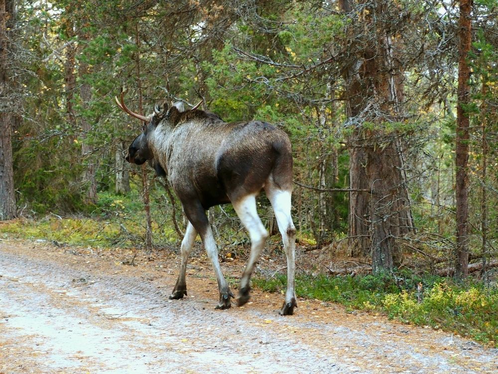 Photograph by Евгений Яковлев