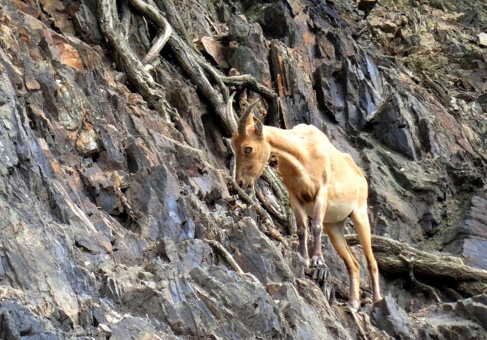 Photograph by Марина Раткун