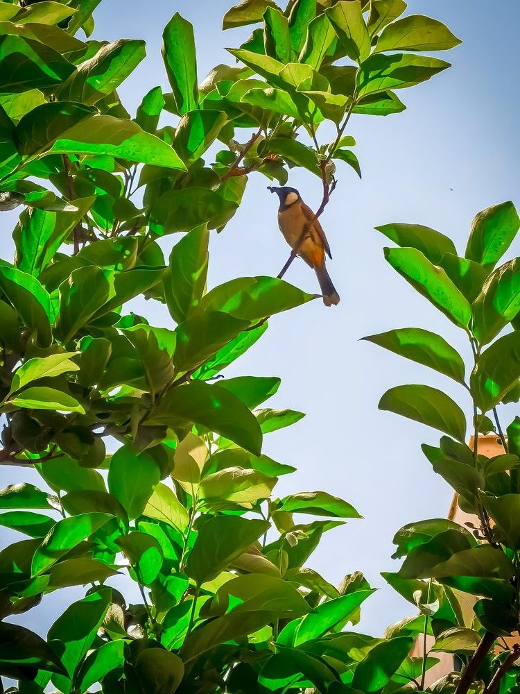 Photograph by Sarah Pouryousef