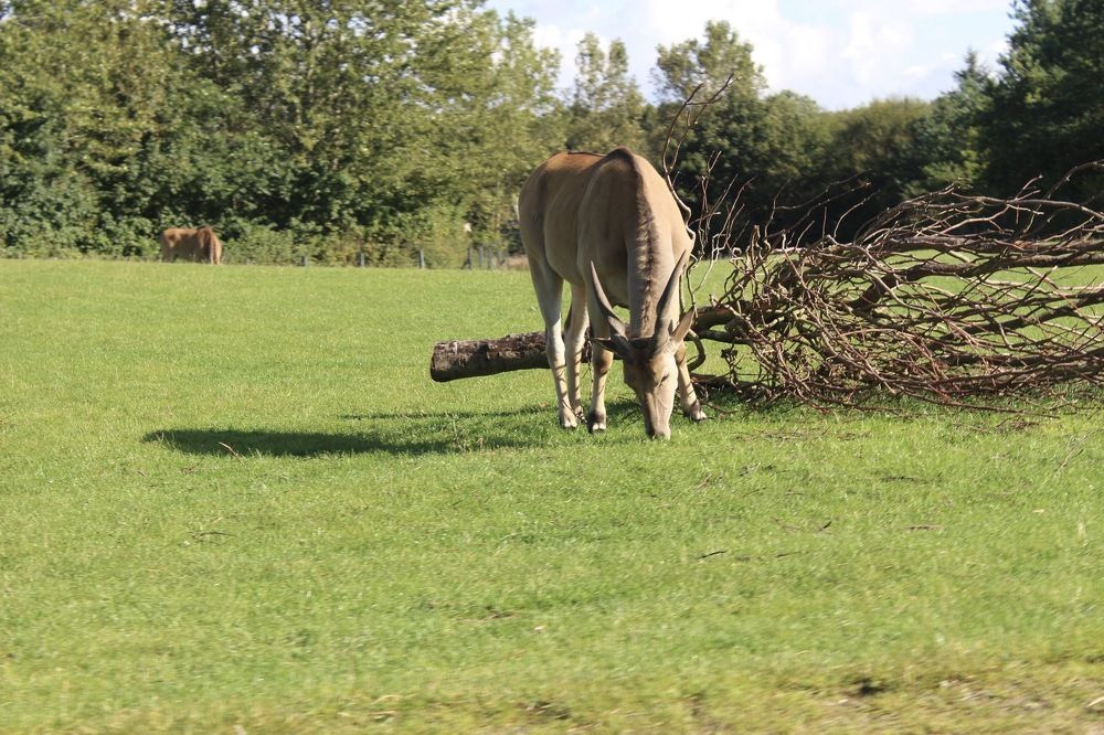 Photograph by Maryna Hedegaard