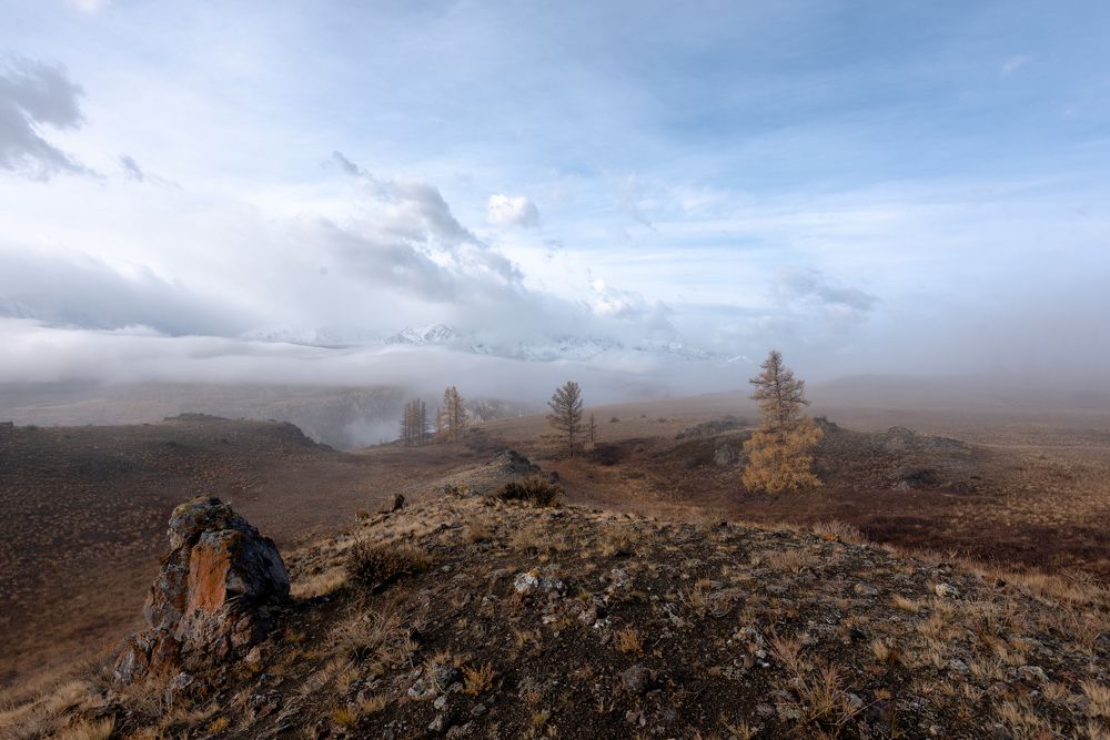 Photograph by Галина