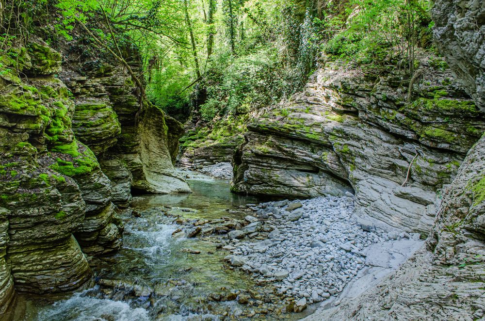 Photograph by Анна