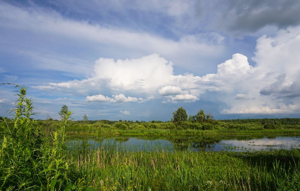 Photograph by Slesareva Nina