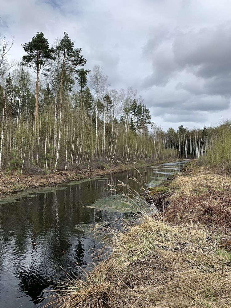 Photograph by Елена Киселева