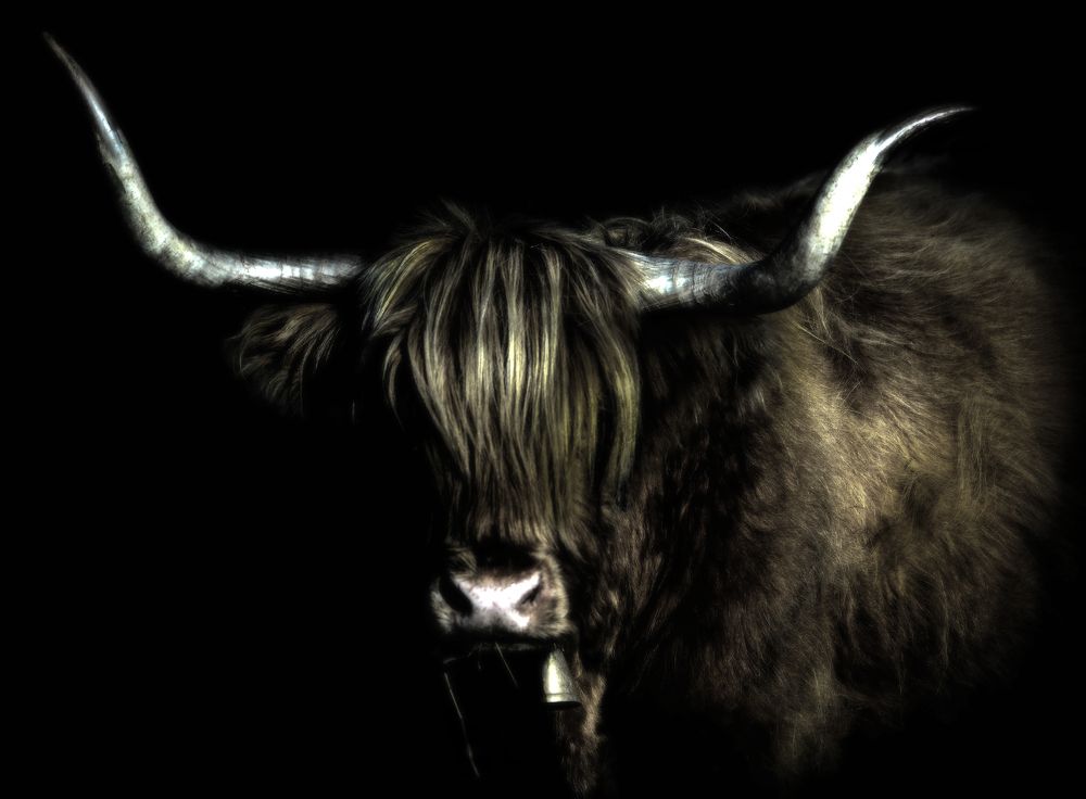 Photograph by Dino Sirica