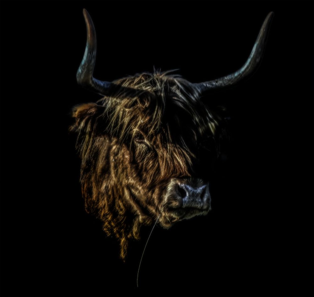 Photograph by Dino Sirica