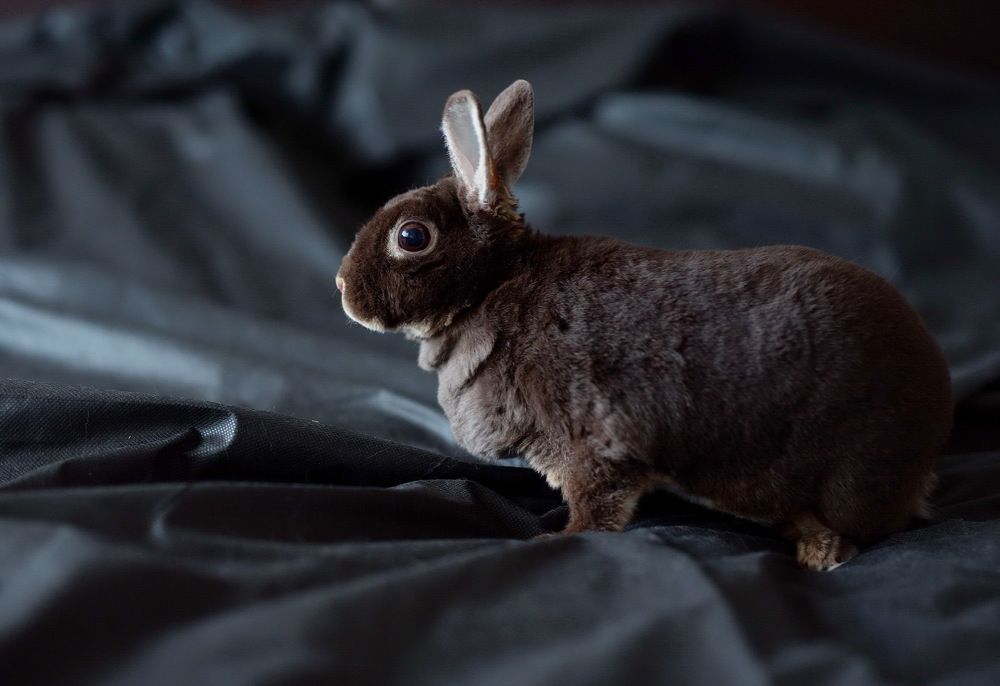 Photograph by Лидия Ушакова